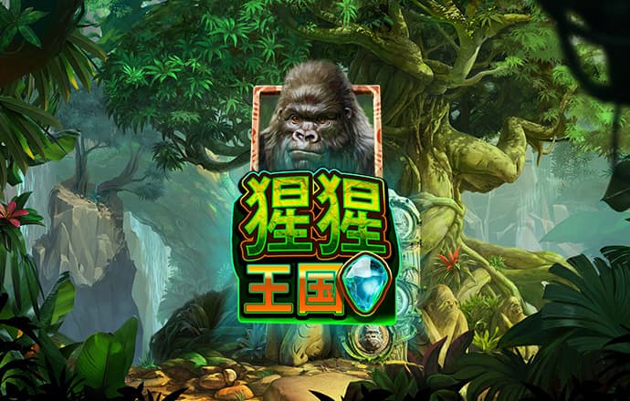 ag九游会登录j9入口首页